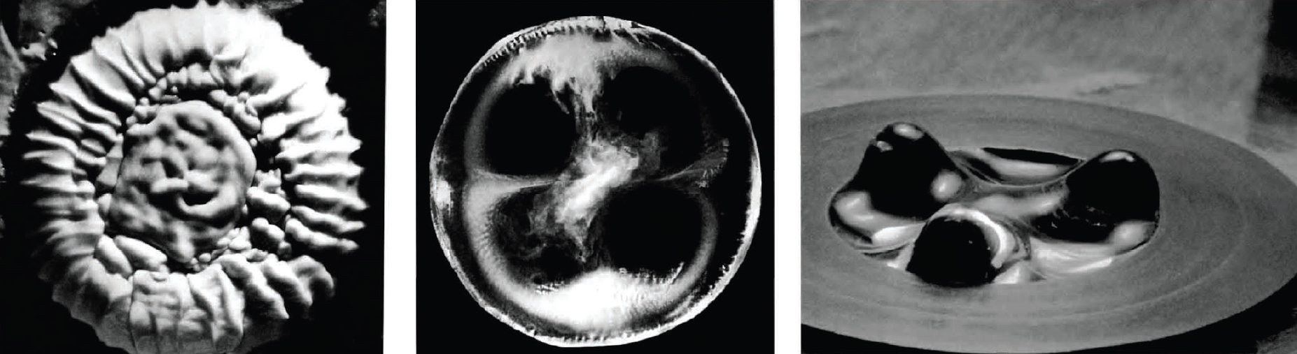 Several cymatics figures created by Hans Jenny