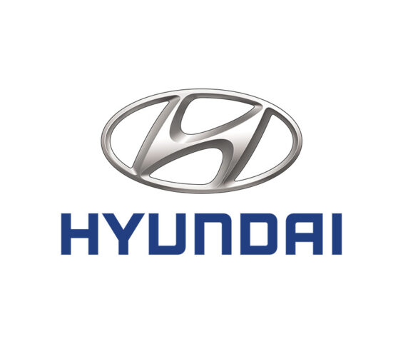 Hiunday logo